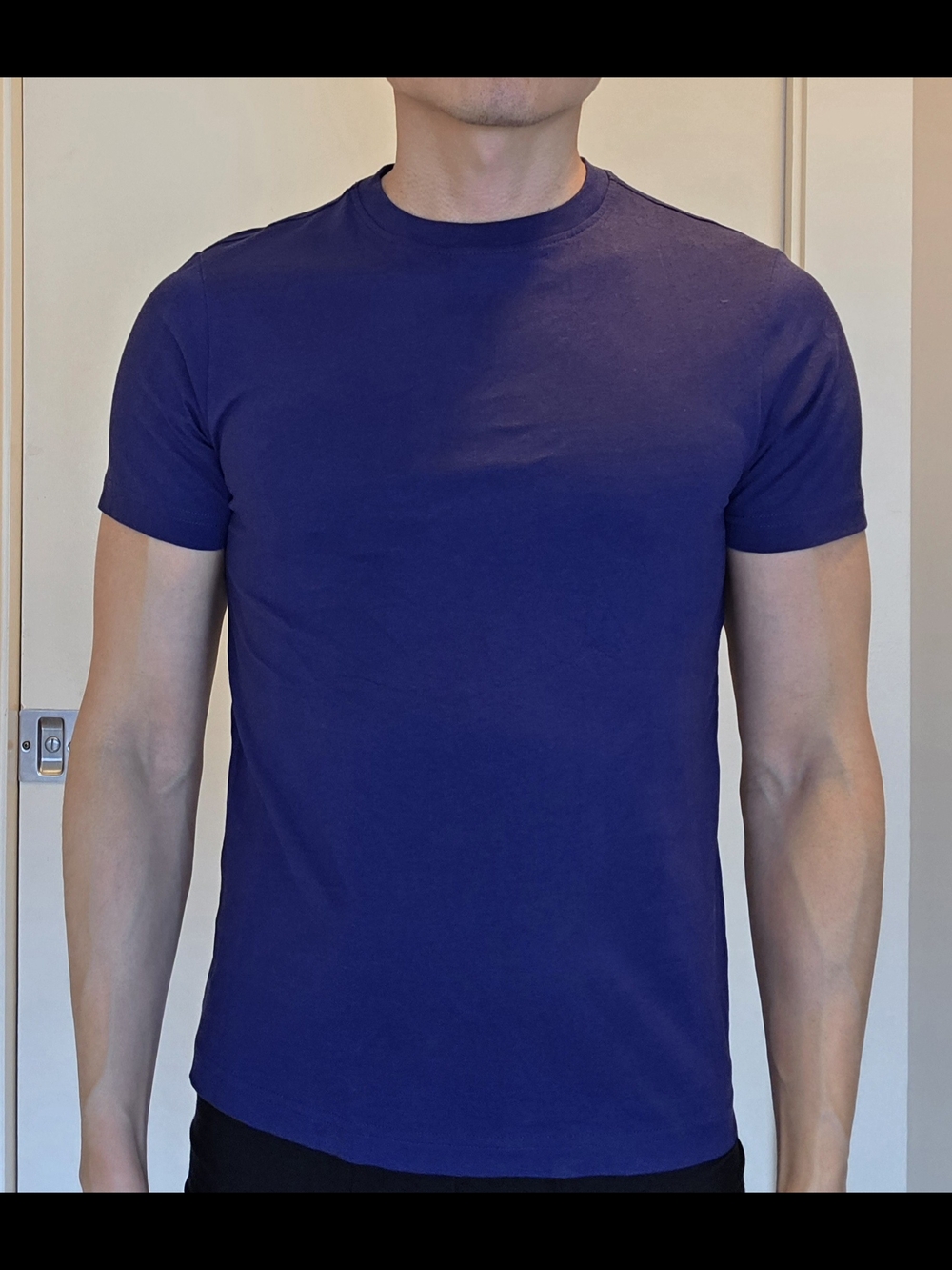 Lot of 2 Isaac Mizrahi Men's Short Sleeve Crew Tees